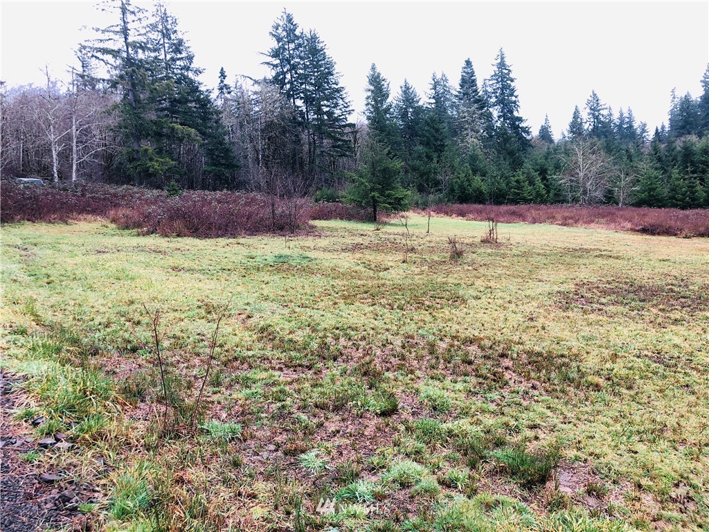 4868 Rose Valley Road Kelso, WA 98626 - Photo 2 of 11 Gallery Image 2