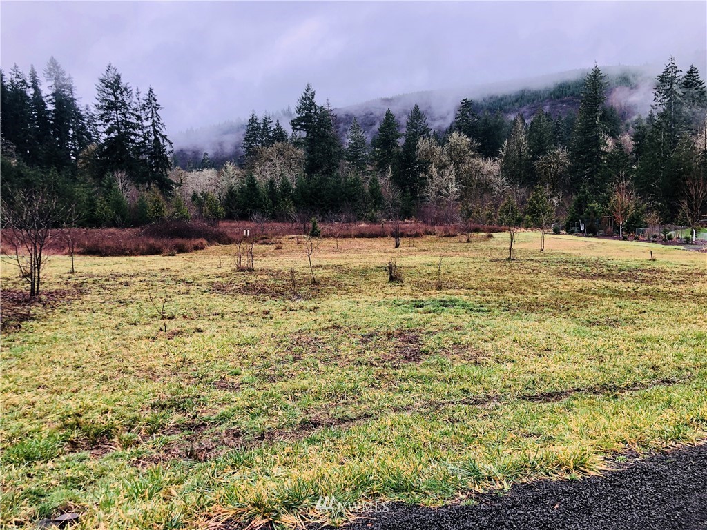 4868 Rose Valley Road Kelso, WA 98626 - Photo 3 of 11 Gallery Image 3