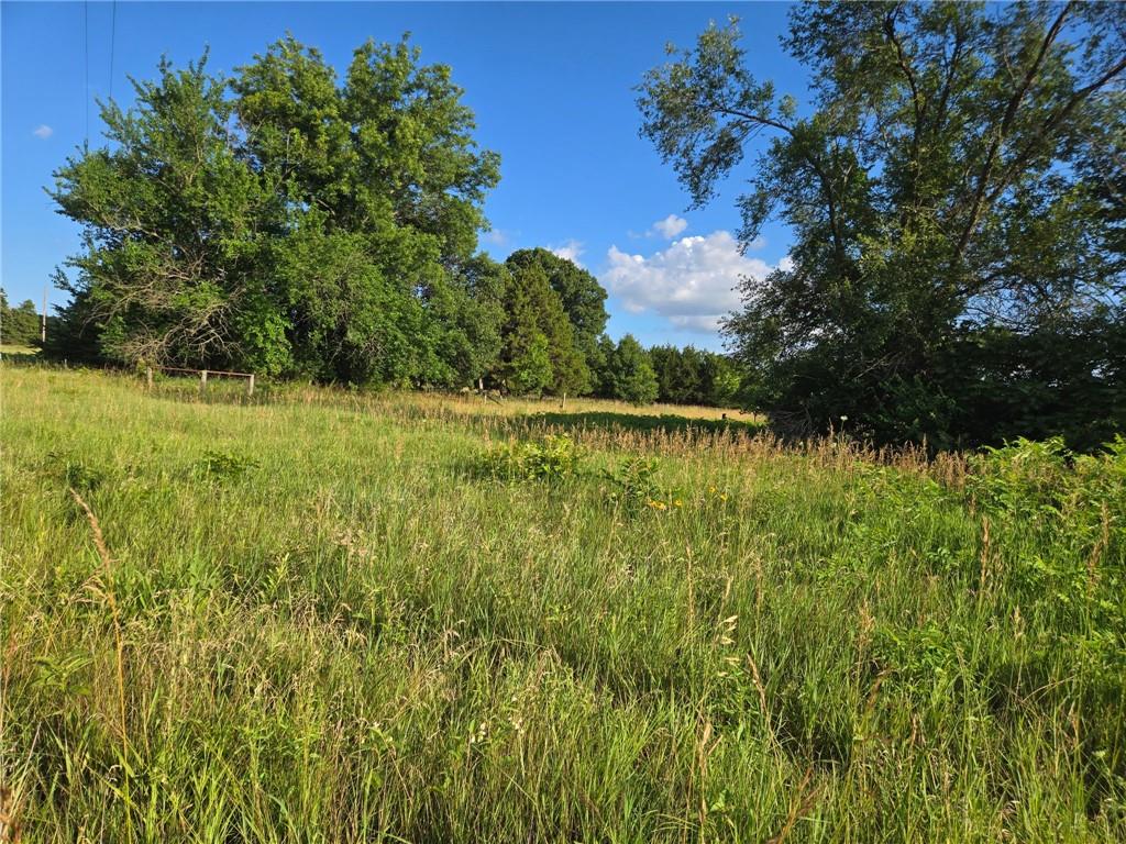 2635 Georgia Road Ottawa, KS 66067 - Photo 5 of 12