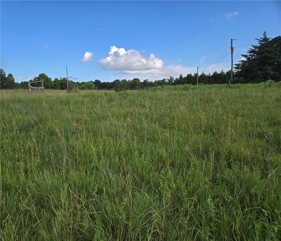 2635 Georgia Road Ottawa, KS 66067 - Photo 9 of 12