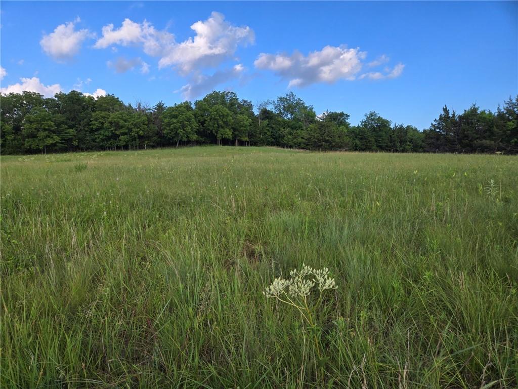 2635 Georgia Road Ottawa, KS 66067 - Photo 10 of 12
