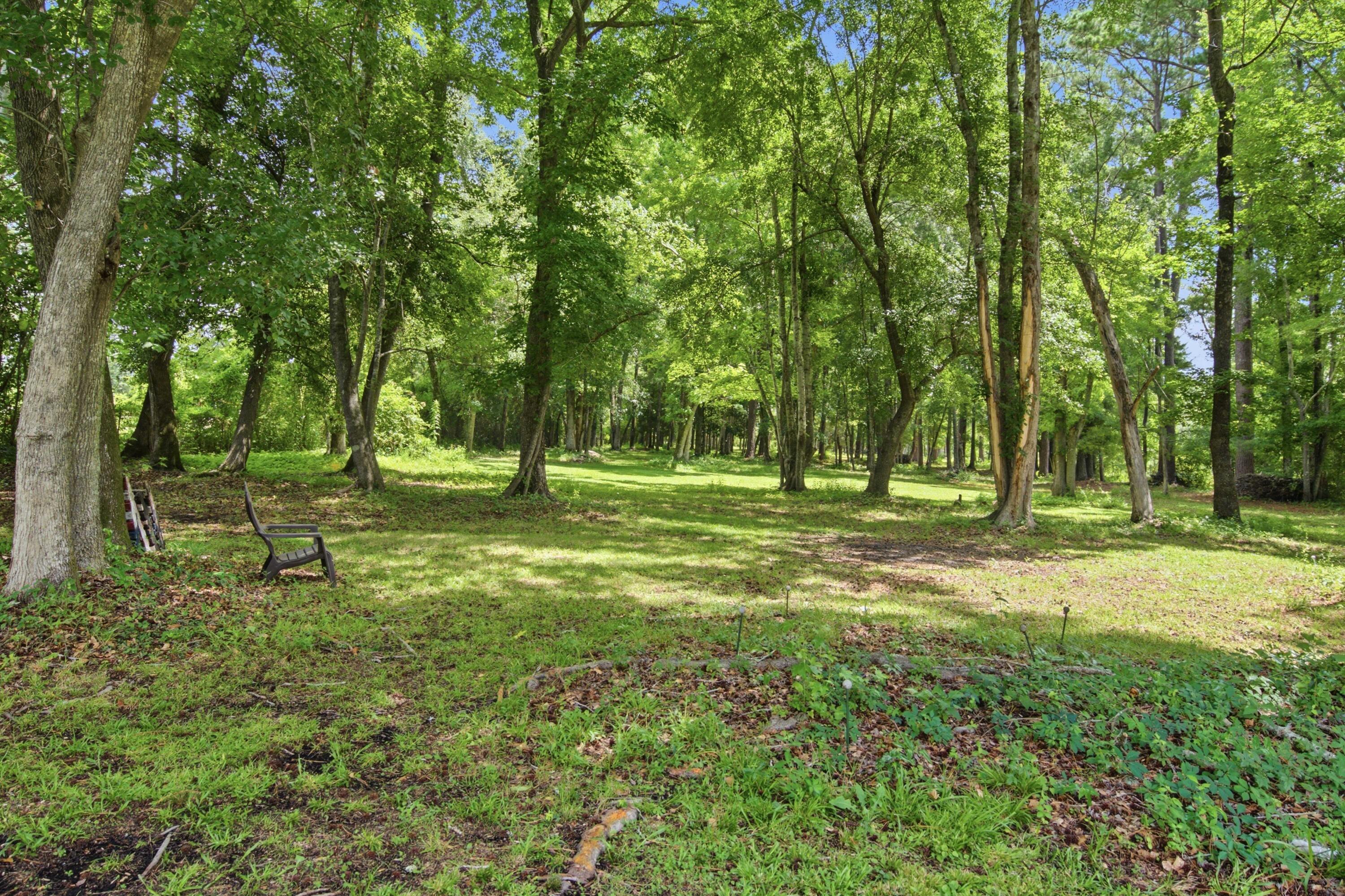 4886 State Road Ridgeville, SC 29472 - Photo 41 of 54