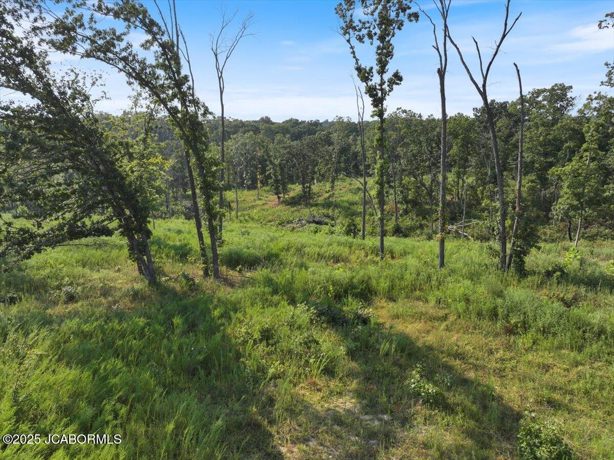 Tbd Old Tuscumbia Road Eldon, MO 65026 - Photo 10 of 12
