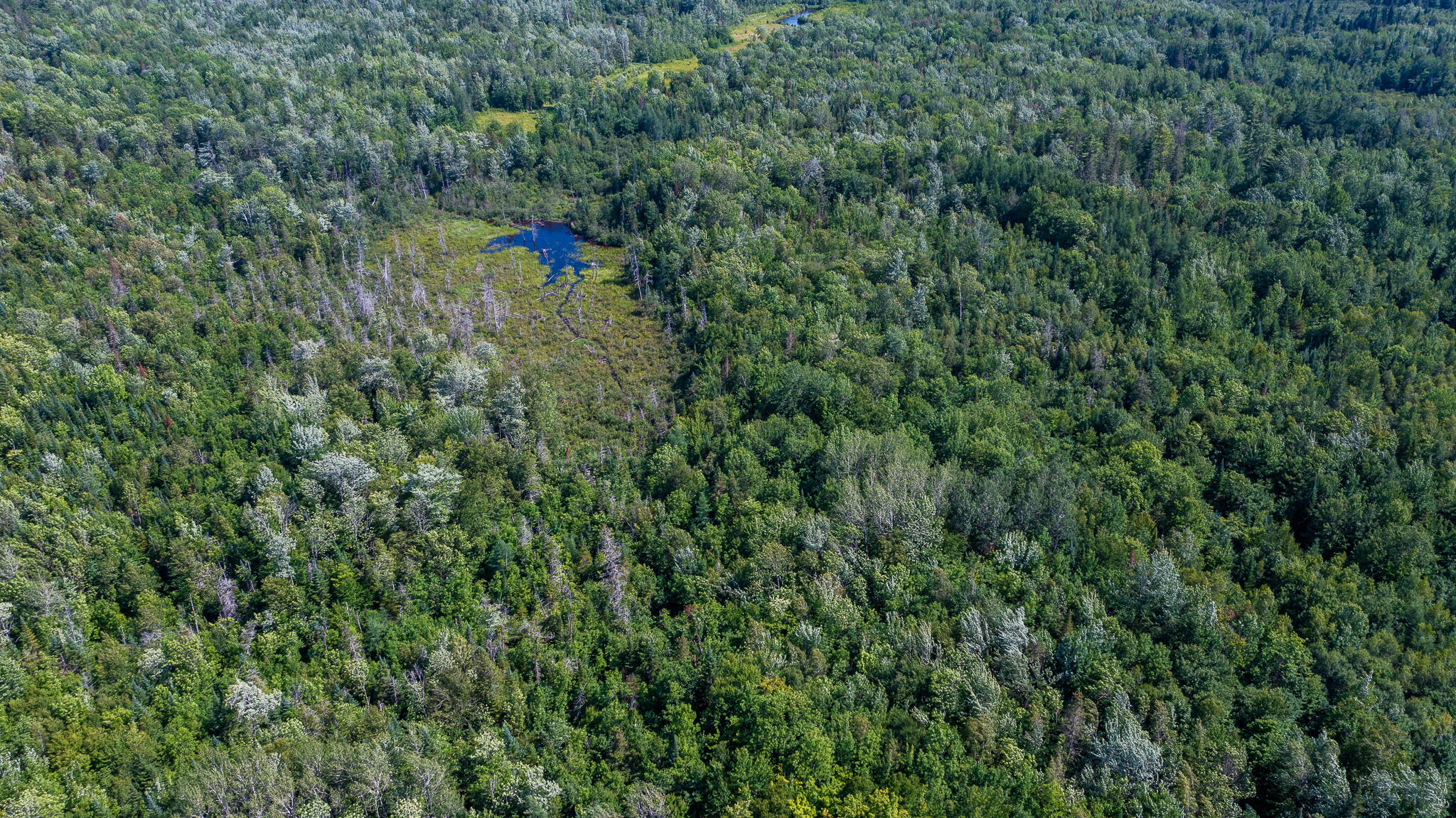 0 Miller Road New Vineyard, ME 04956 - Photo 25 of 48 MNewportland-19