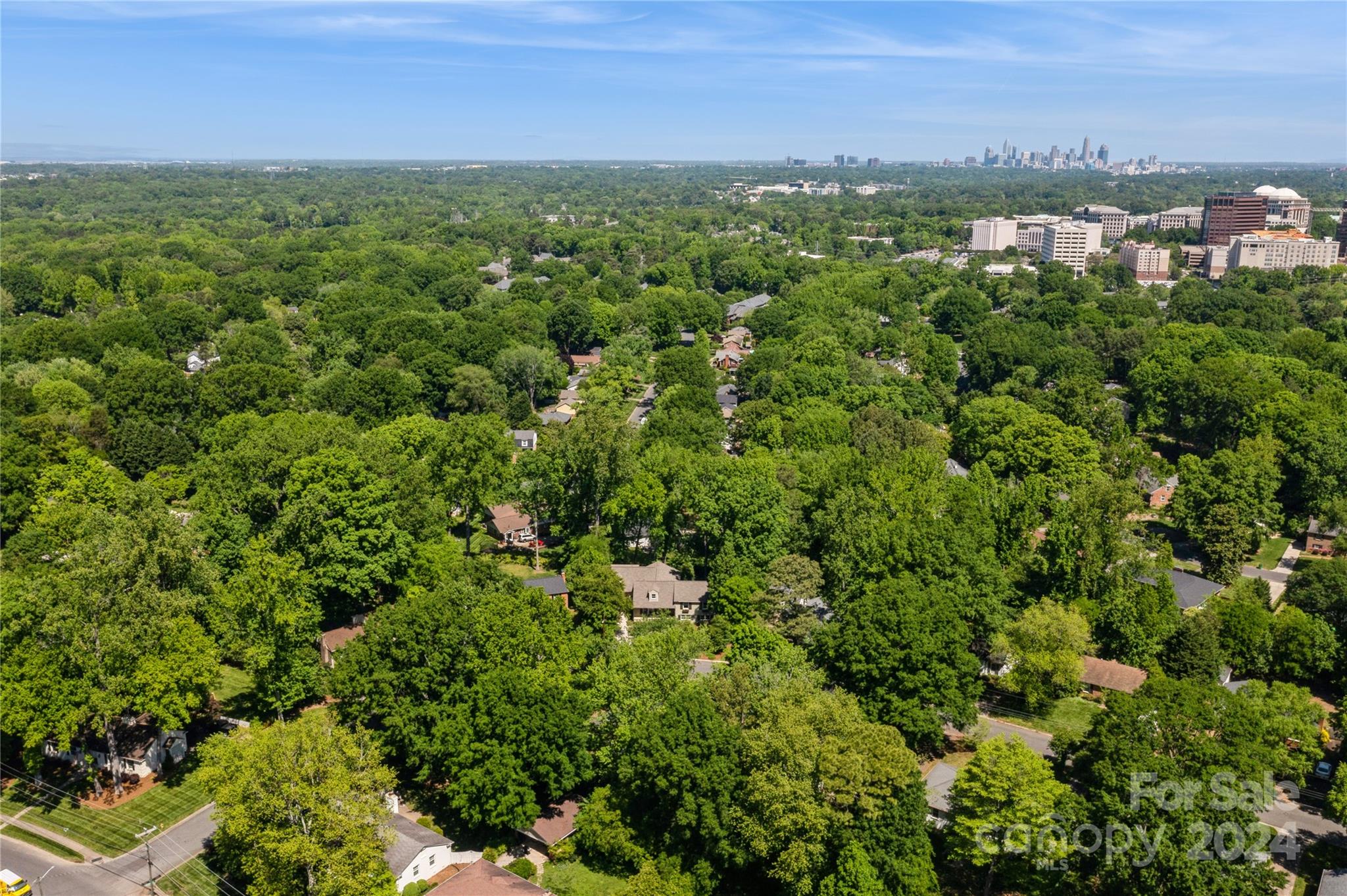 4027 Rutherford Drive Charlotte, NC 28210 - Photo 46 of 48 a view of a city with lush green forest