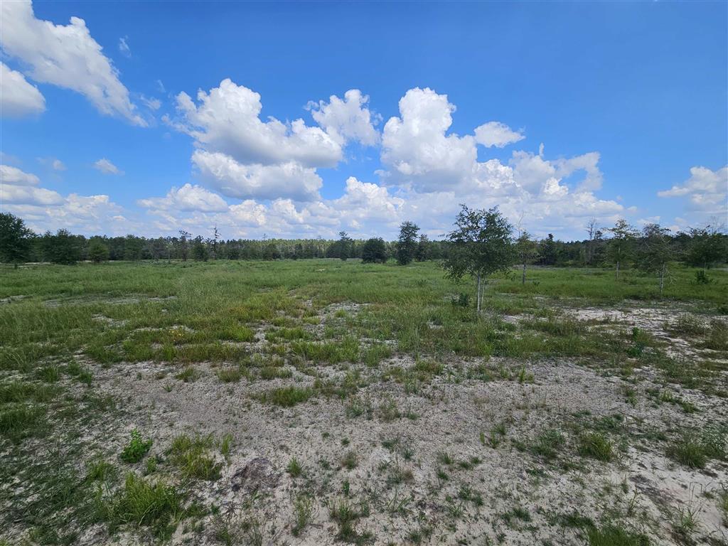 0 Marcantel Road Dequincy, LA 70633 - Photo 2 of 5