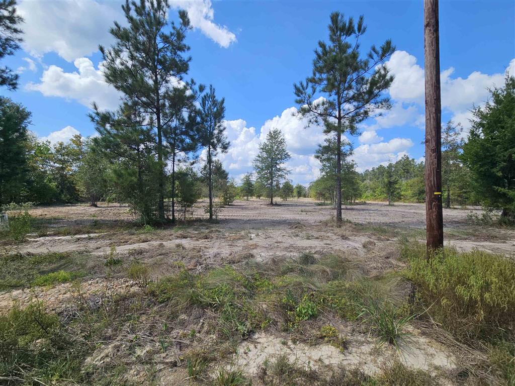 0 Marcantel Road Dequincy, LA 70633 - Photo 3 of 5