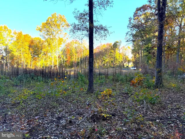 a view of side of a yard with trees
