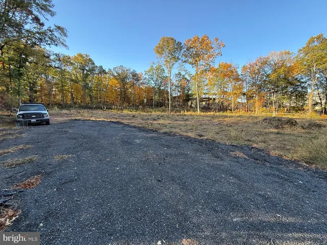 a view of a field with trees
