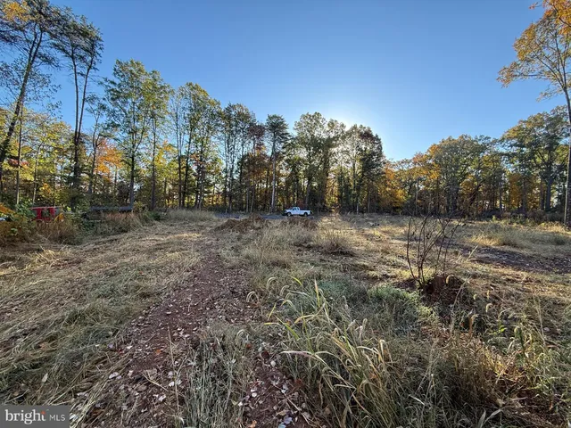a view of a field with trees in the background