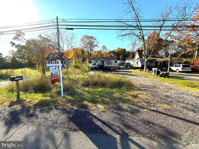 a view of dirt yard with a large tree