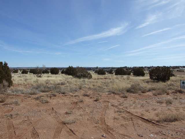 35 Dewitt Street Snowflake, AZ 85937 - Photo 3 of 3 Gallery Image 3