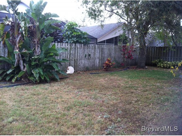 6691 Fawn Ridge Drive Melbourne, FL 32940 - Photo 10 of 10 Additional Photo
