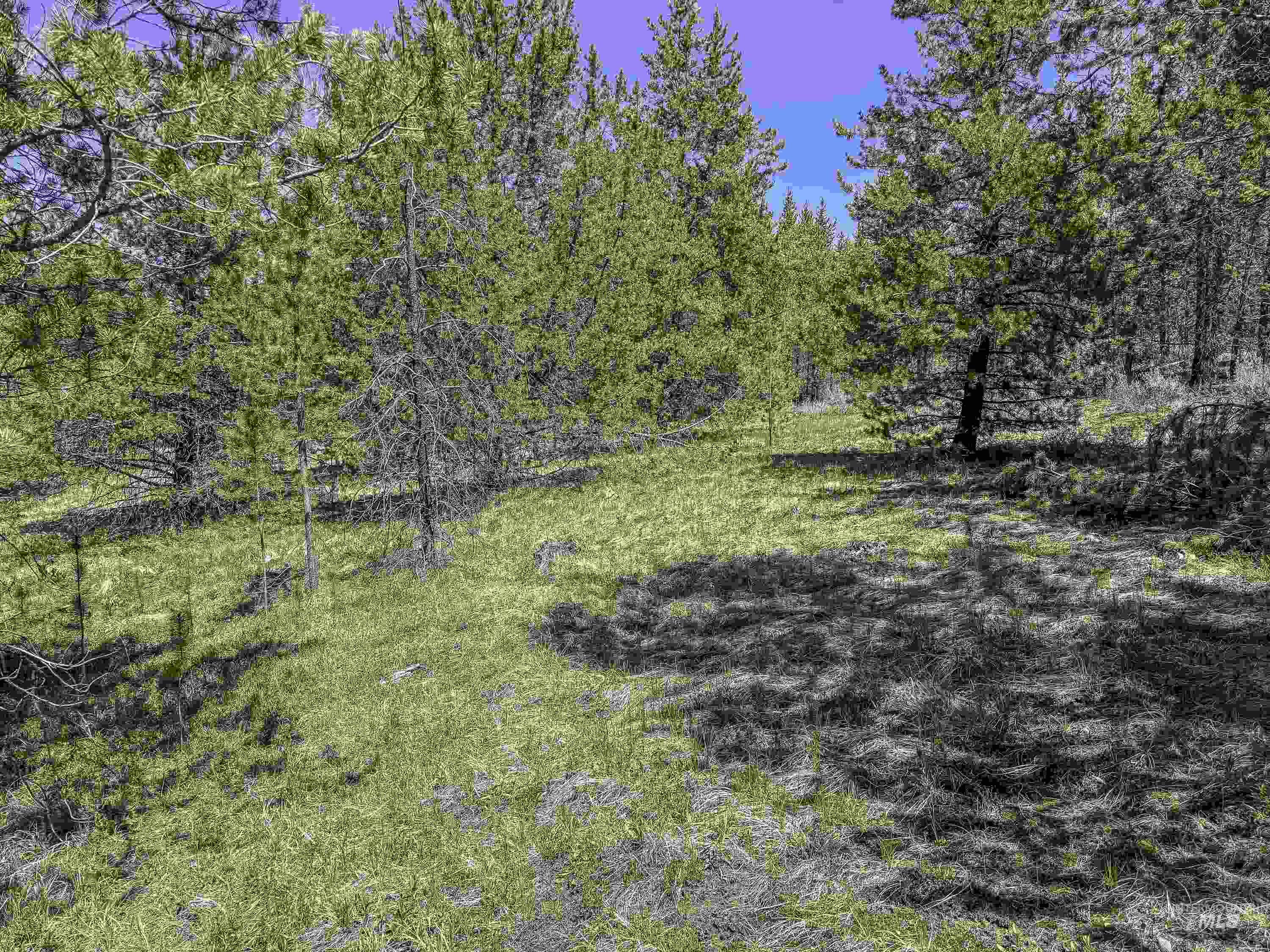 Tbd Deer Creek Road Winchester, ID 83555 - Photo 24 of 39