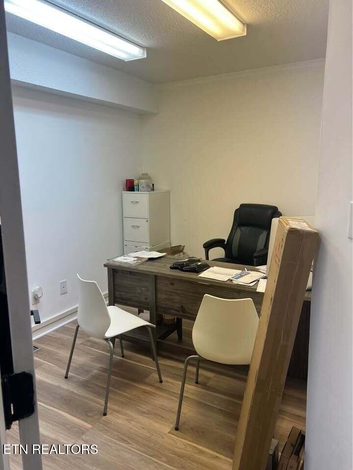 315 Ebenezer Road Knoxville, TN 37923 - Photo 15 of 21 598845475_10224166272583036_643344704457