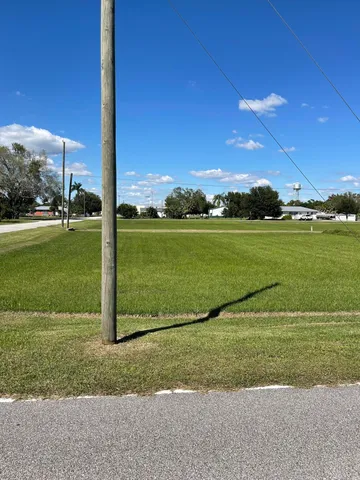 a view of a field with a tree