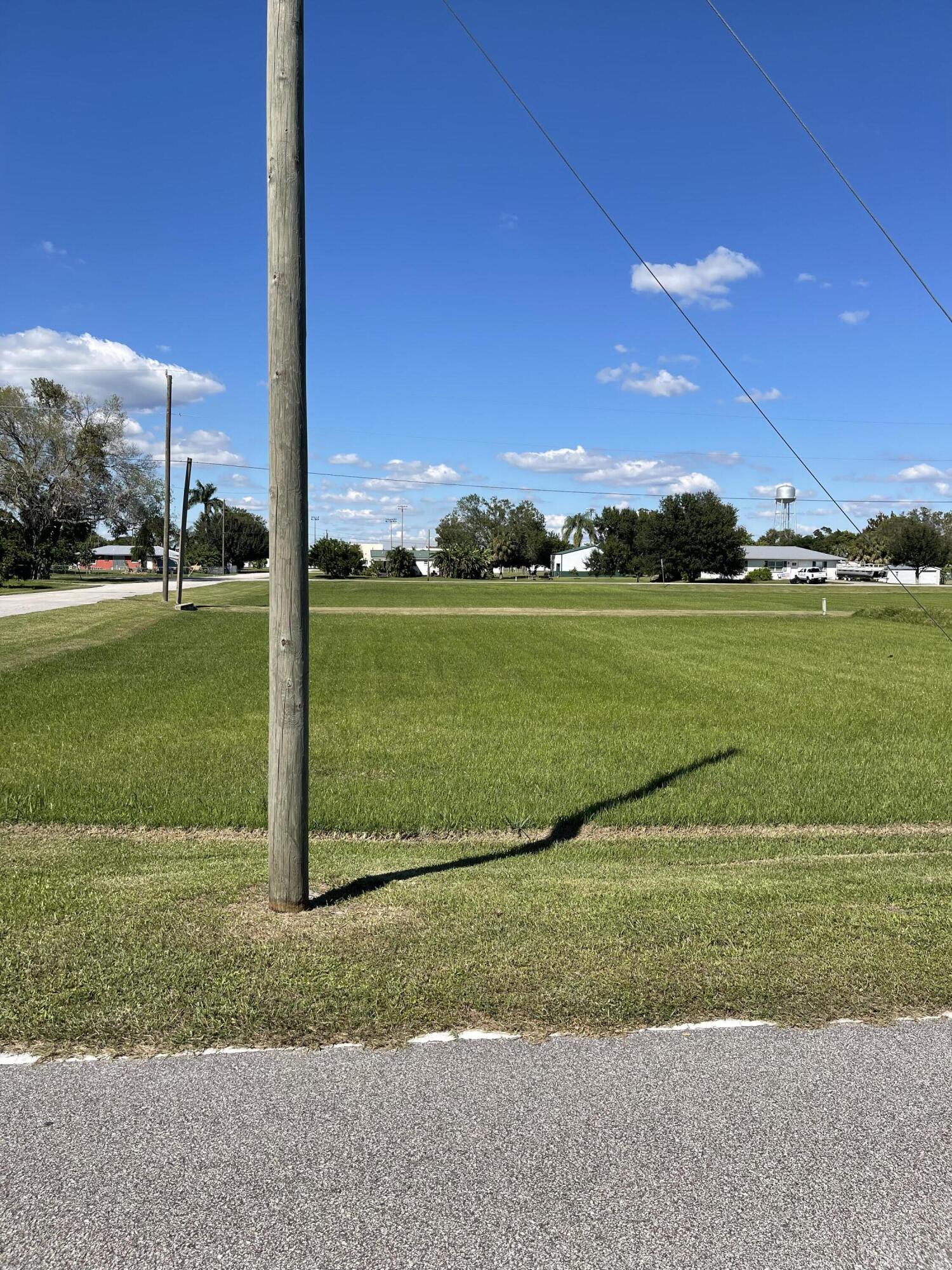 a view of a field with a tree