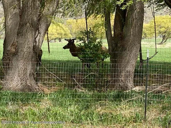 $7,000 | 156 Deer Run, Carbondale, CO 81623