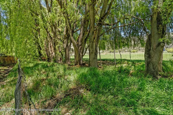 a view of outdoor space and yard