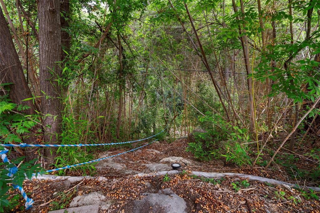 8224 Forest Ridge Drive Woodway, TX 76712 - Photo 33 of 38 a view of a yard