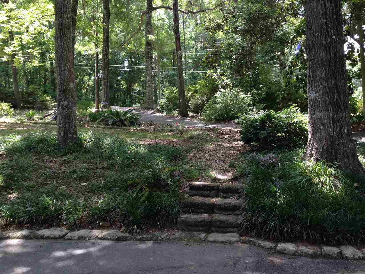 1929 Collins Landing Road Tallahassee, FL 32310 - Photo 4 of 24 Gallery Image 4