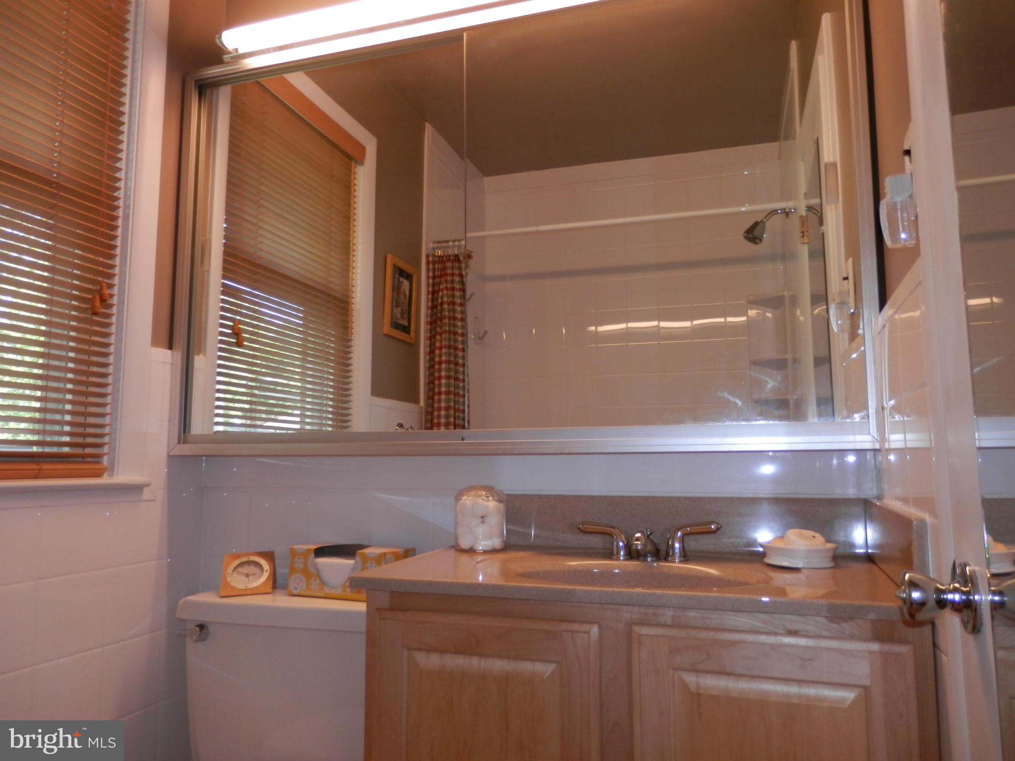 6716 Ransome Drive Baltimore, MD 21207 - Photo 9 of 16 Bath (Master)