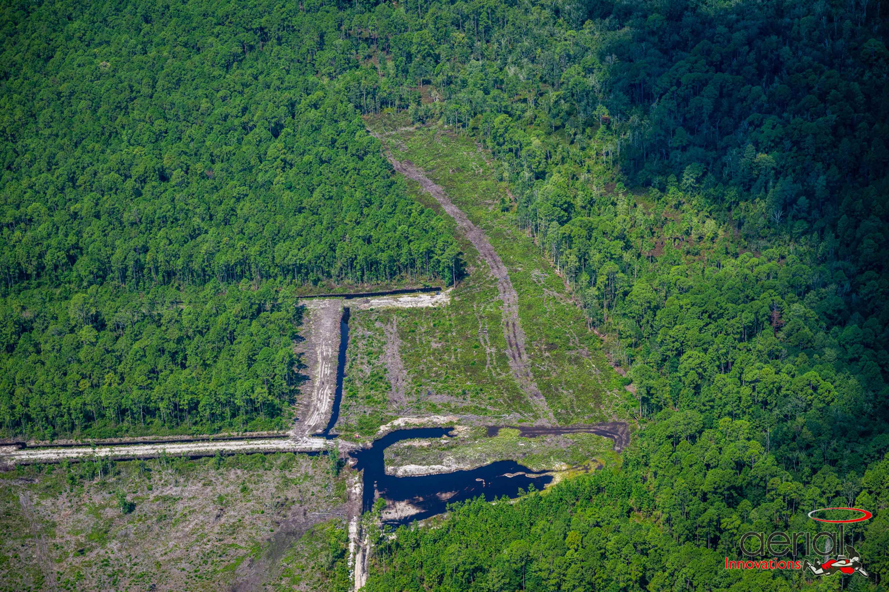0 Gracy Road Jacksonville, FL 32221 - Photo 6 of 11 a view of a yard with a tree
