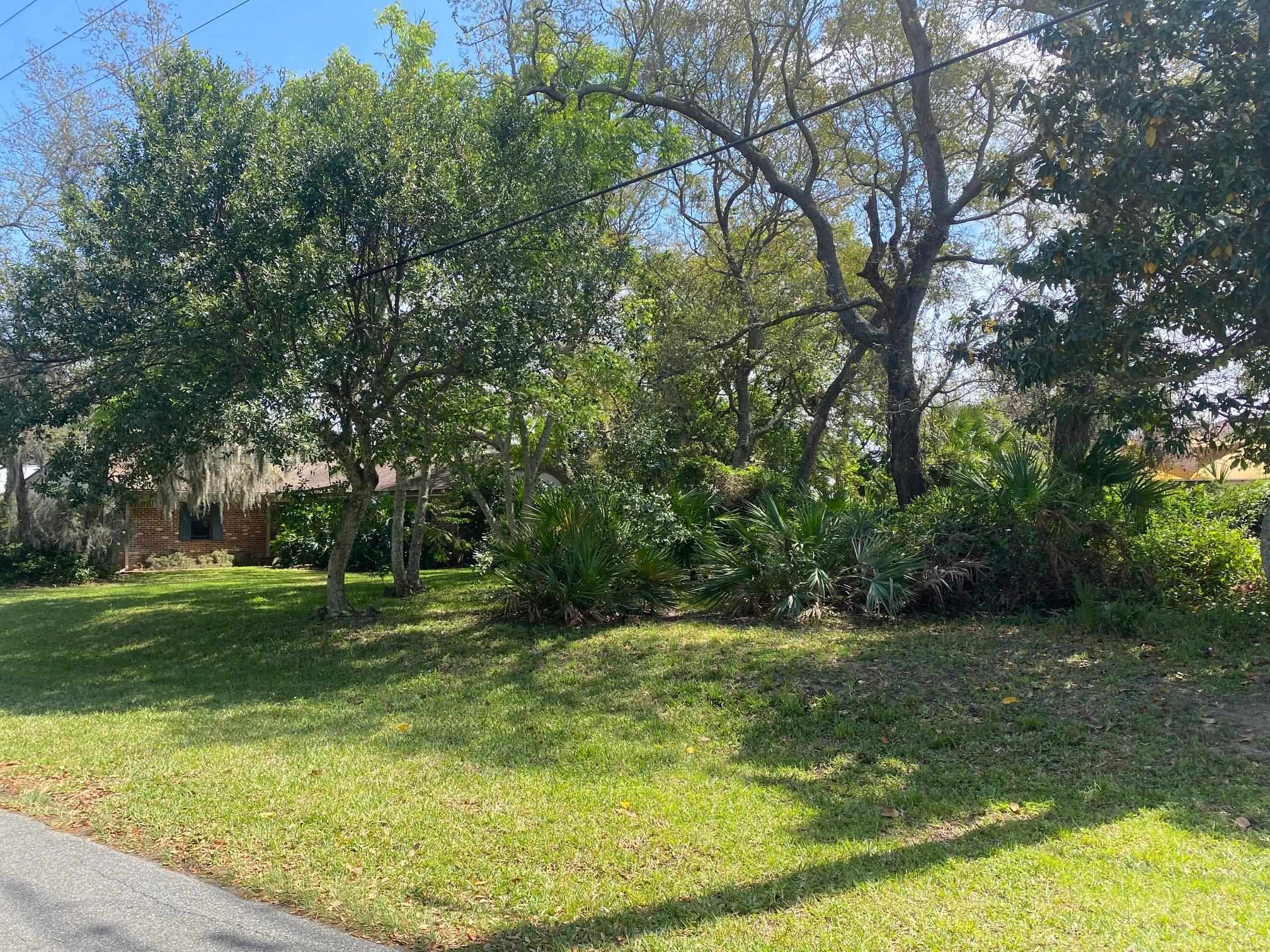 452 Gerona Road St. Augustine, FL 32086 - Photo 3 of 9 a view of a big yard with large trees