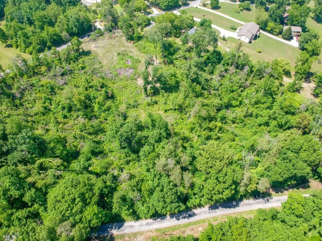 0 Blue Water Trail Spring City, TN 37381 - Photo 23 of 36 Gallery Image 23