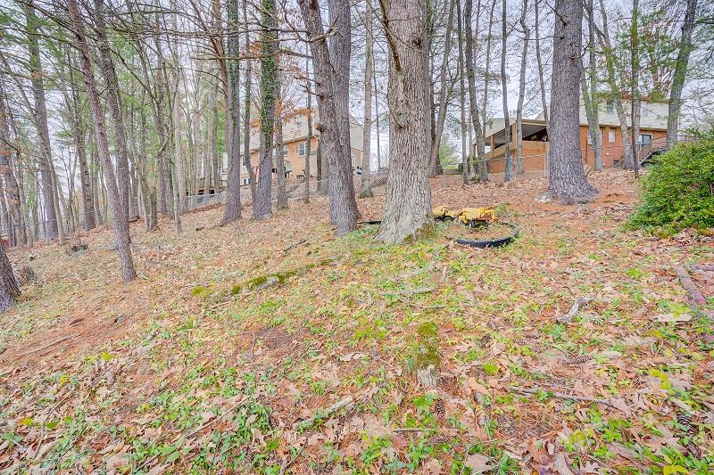 5828 Merriman Road Roanoke, VA 24018 - Photo 29 of 33 Back 3