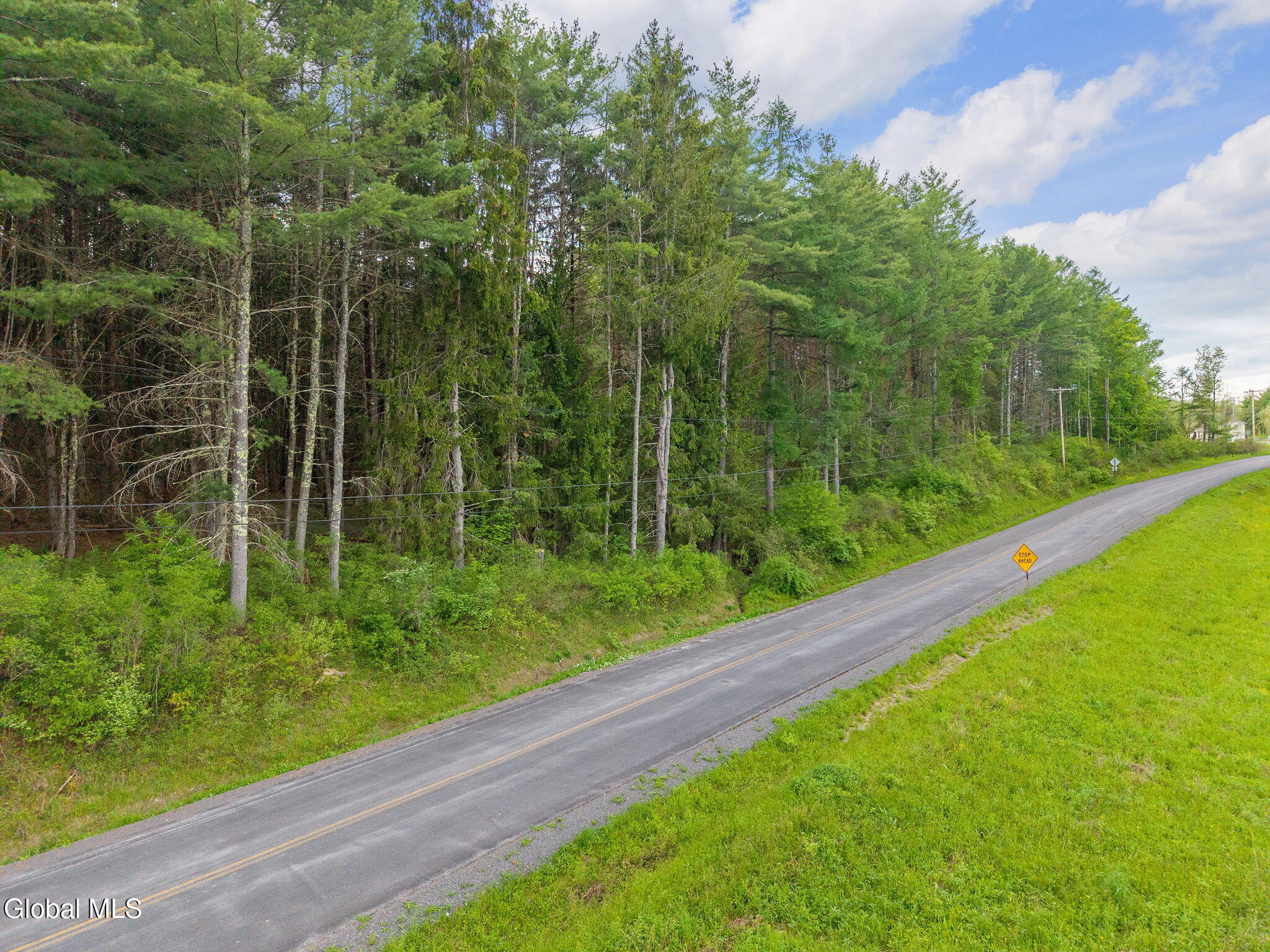 1432 Shew Hollow Road Gilboa, NY 12076 - Photo 46 of 55 51-1432ShewHollowRd_51