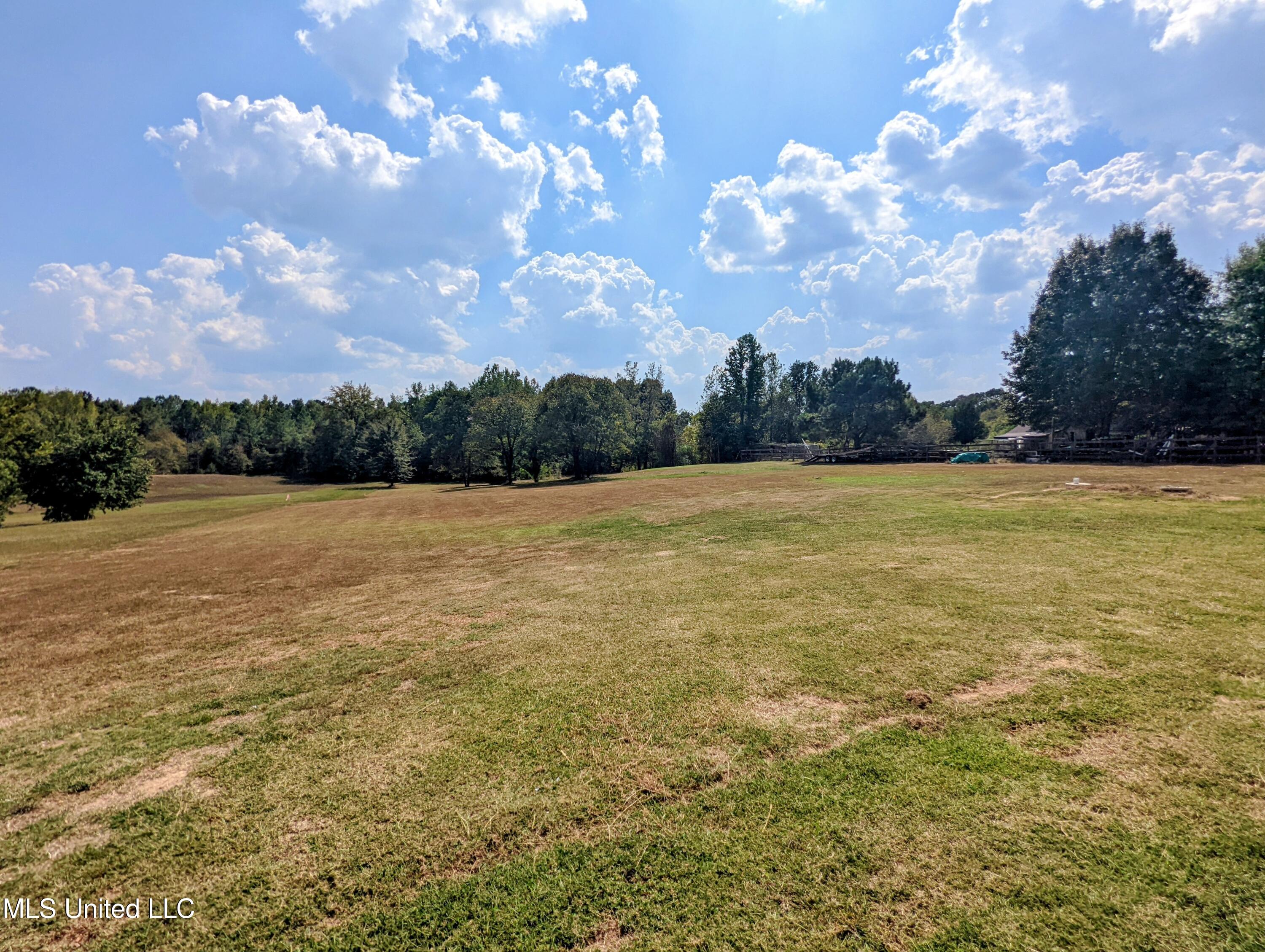 162 Plantation Way Byhalia, MS 38611 - Photo 48 of 48 PXL_20250912_192309745~2