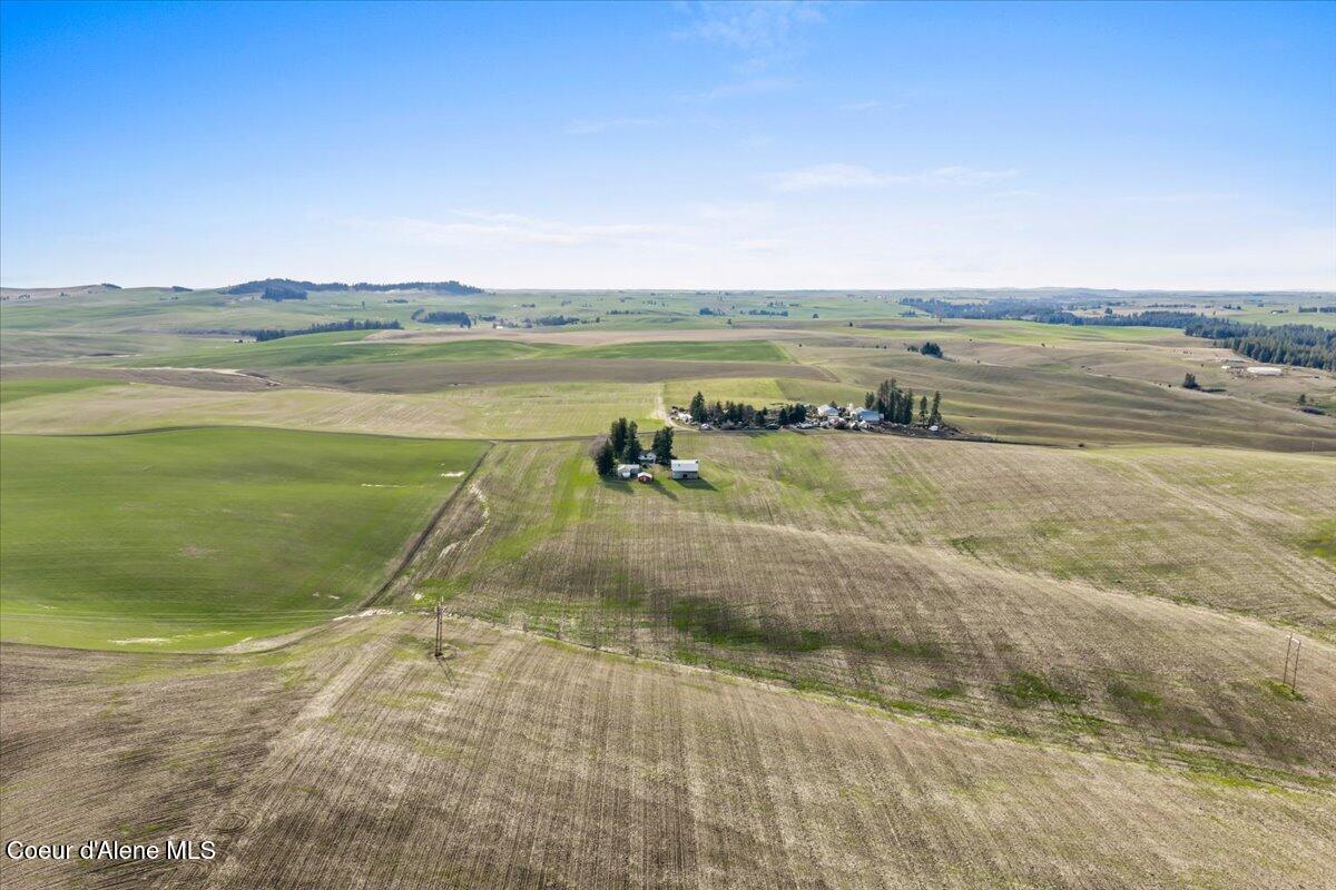 19454 South Idaho Road Worley, ID 83876 - Photo 43 of 62 37-DJI_20260330171805_0241_D
