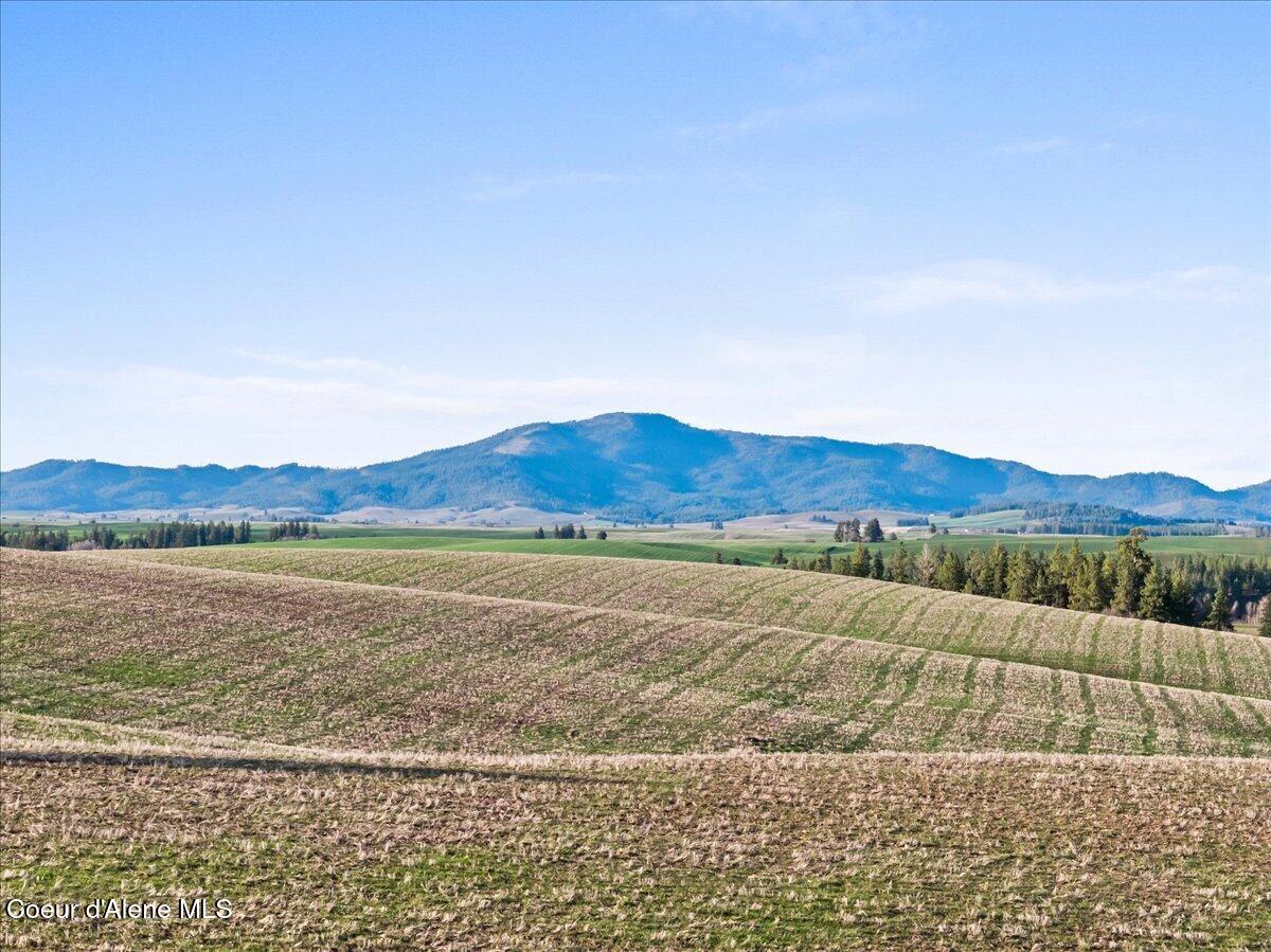 19454 South Idaho Road Worley, ID 83876 - Photo 53 of 62 47-DJI_20260330175700_0286_D