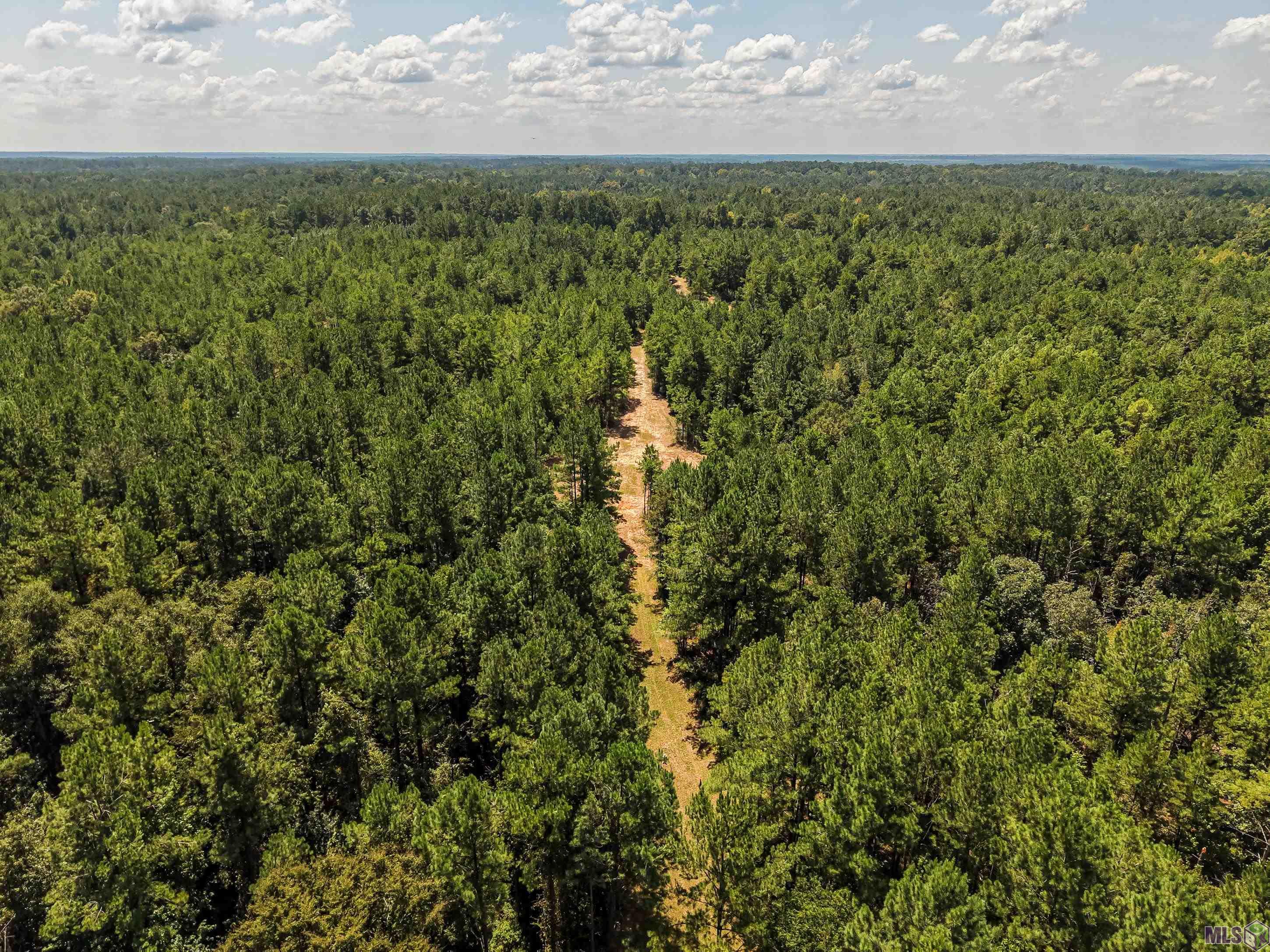 Tbd Jerusalem Road Liberty, MS 39645 - Photo 53 of 60 Gallery Image 53