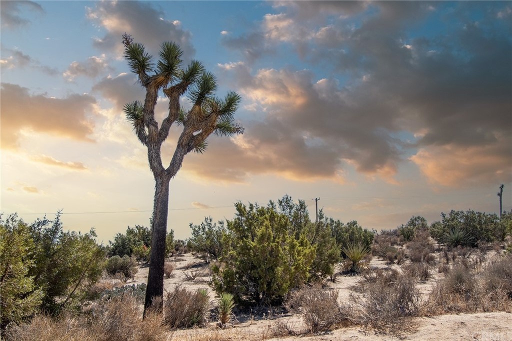 4 Rice/belmont Road Joshua Tree, CA 92252 - Photo 1 of 1