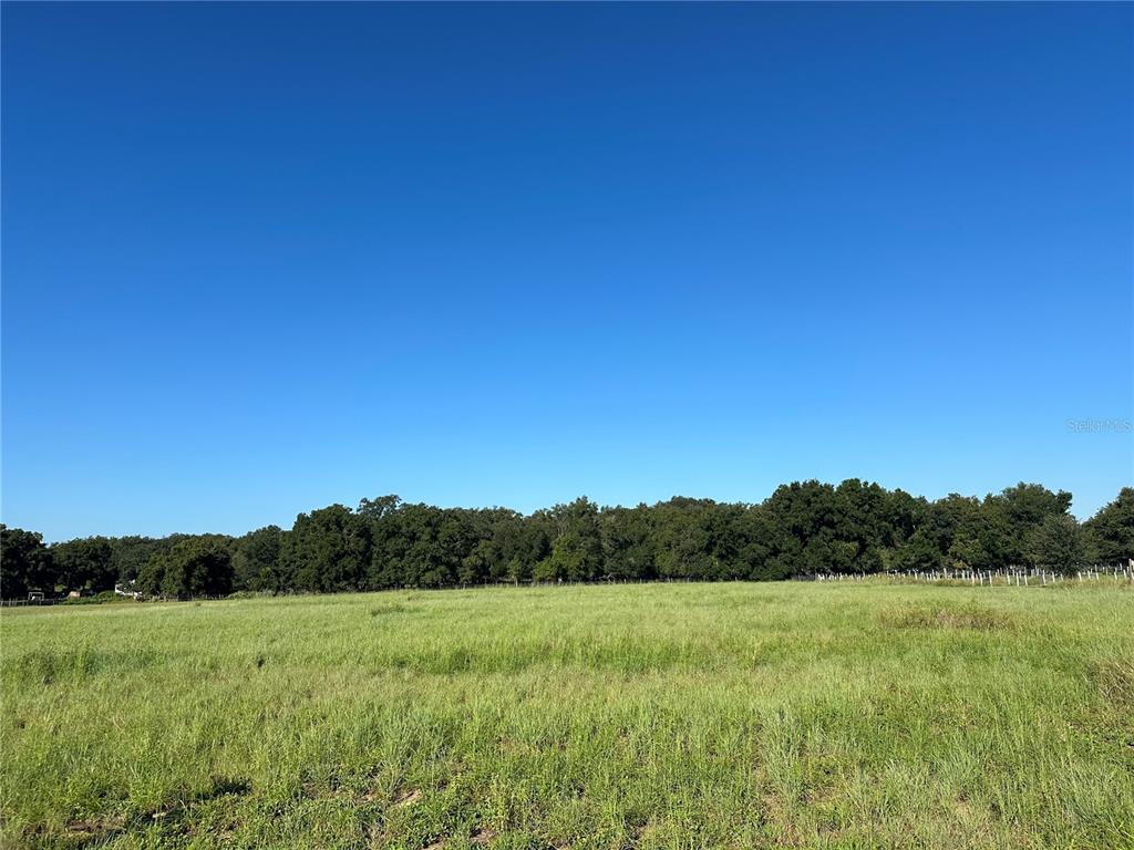 873 C F Kinney Road Waverly, FL 33859 - Photo 1 of 1 Gallery Image 1