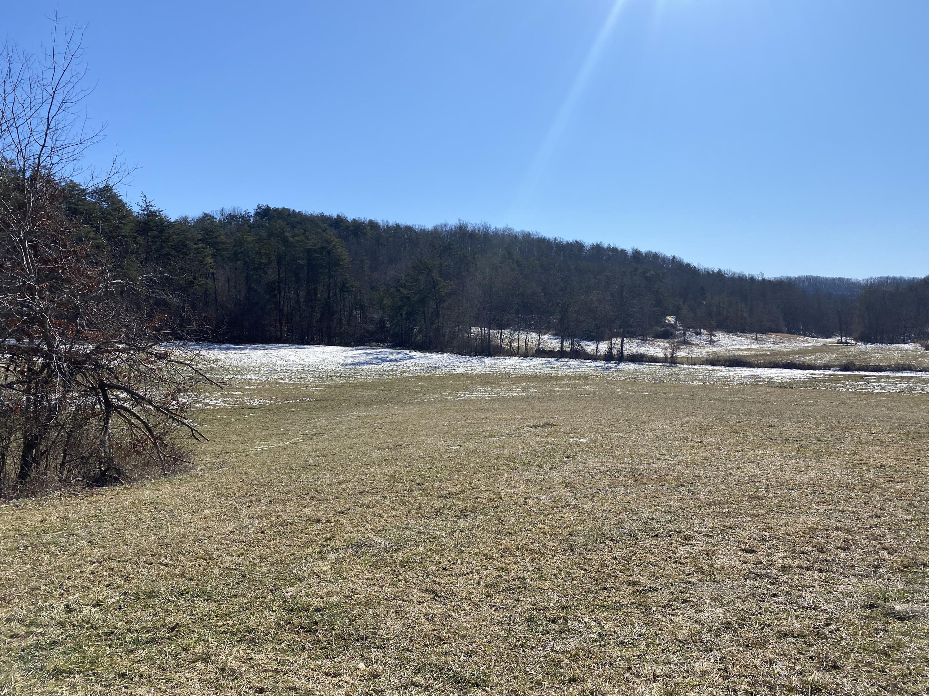 999 Robinson Road McKee, KY 40447 - Photo 2 of 8 IMG_9930