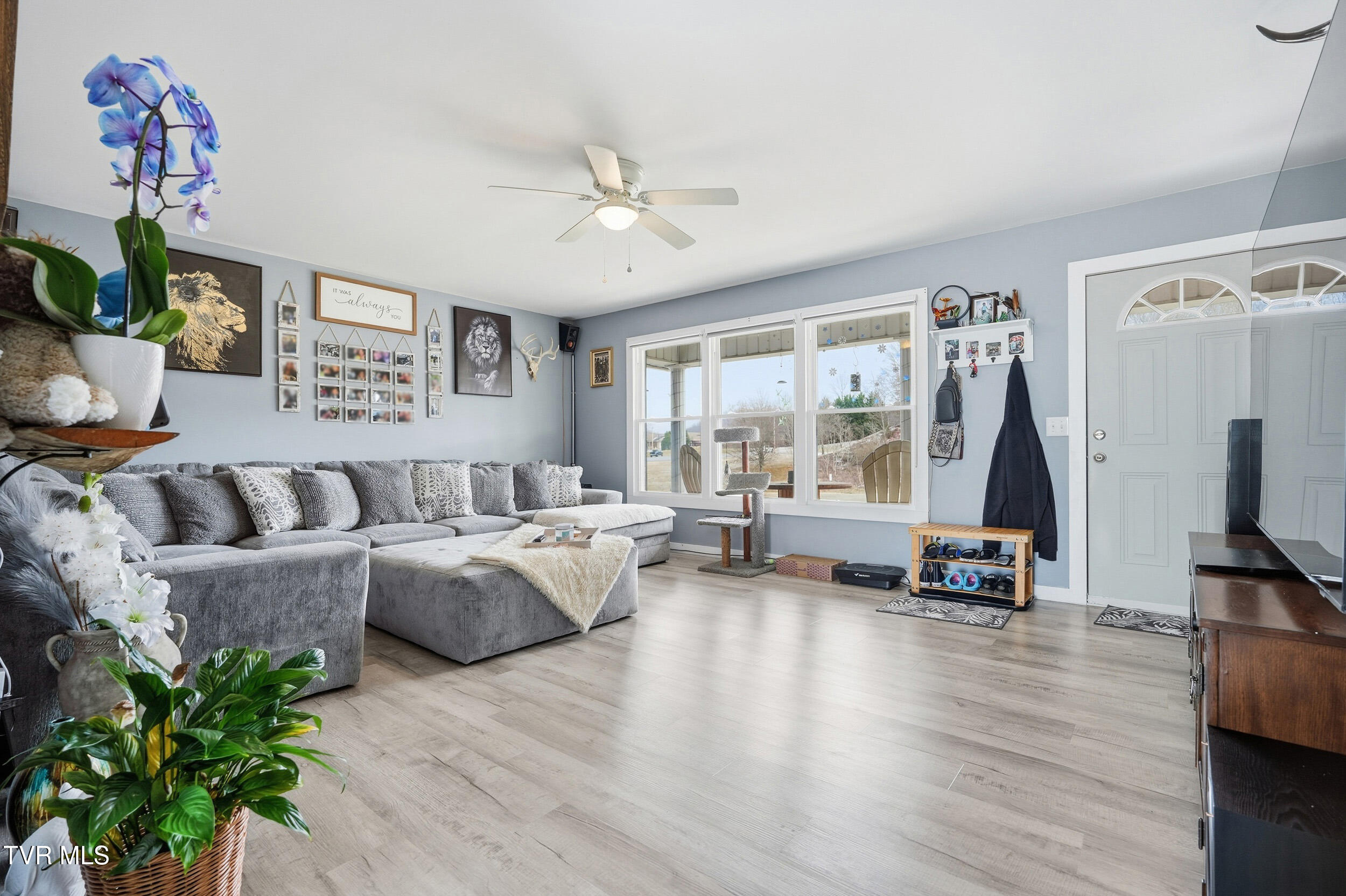 1325 Boones Creek Road Jonesborough, TN 37659 - Photo 5 of 38 16_1325 boones-27