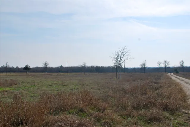 a view of a dry yard with trees