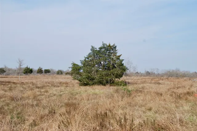 $399,900 | 326 County Road 451, Waelder, TX 78959