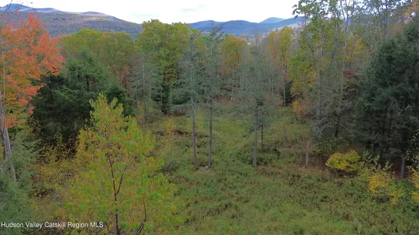 $234,500 | 0 North Ridge Extension, Windham, NY 12496