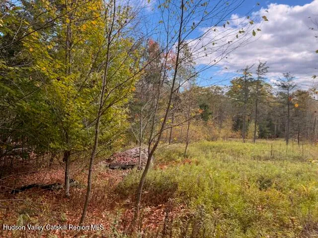 $234,500 | 0 North Ridge Extension, Windham, NY 12496