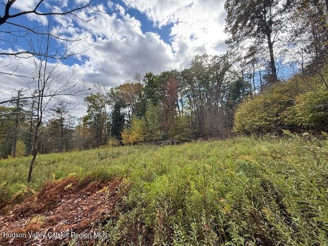 0 North Ridge Extension Windham, NY 12496 - Photo 11 of 28 a view of a yard