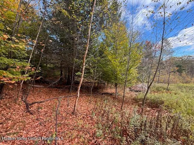 $234,500 | 0 North Ridge Extension, Windham, NY 12496