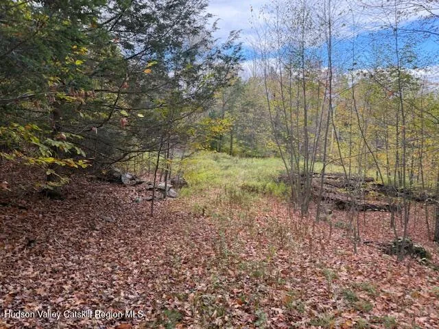 $234,500 | 0 North Ridge Extension, Windham, NY 12496