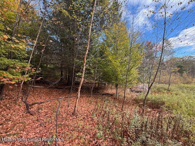0 North Ridge Extension Windham, NY 12496 - Photo 13 of 28 a view of an outdoor space and a yard