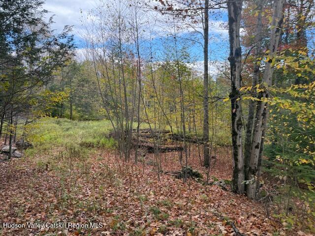 0 North Ridge Extension Windham, NY 12496 - Photo 15 of 28 a view of a forest with a bench and trees