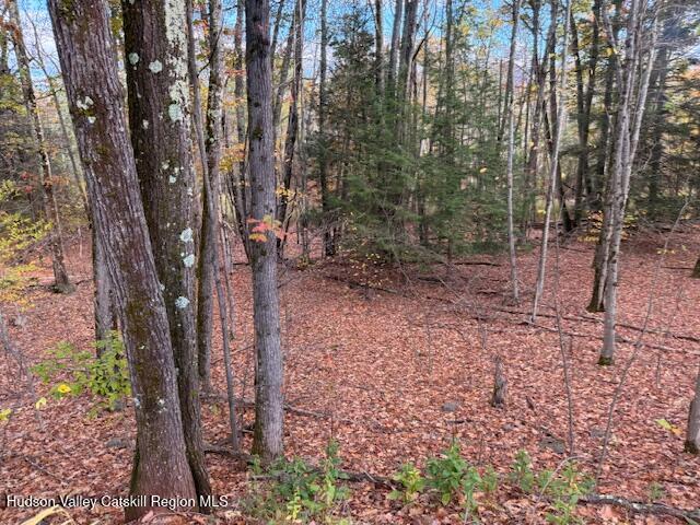 0 North Ridge Extension Windham, NY 12496 - Photo 16 of 28 a view of a forest with trees