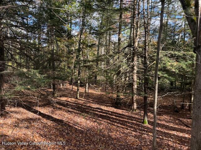 0 North Ridge Extension Windham, NY 12496 - Photo 17 of 28 a view of a yard with a tree